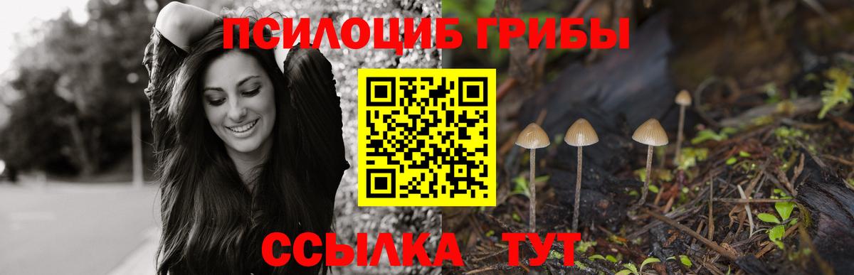 Галлюциногенные грибы Magic Shrooms  Вход с VPN  Чехов 