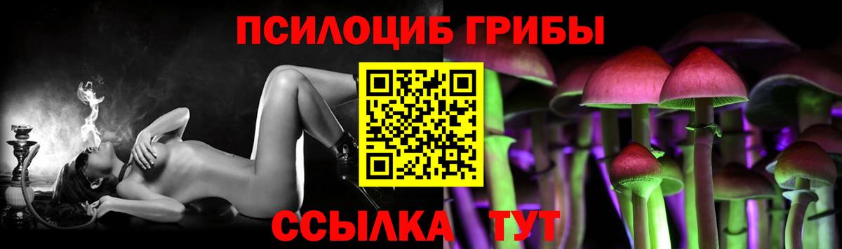 Псилоцибиновые грибы GOLDEN TEACHER Чехов